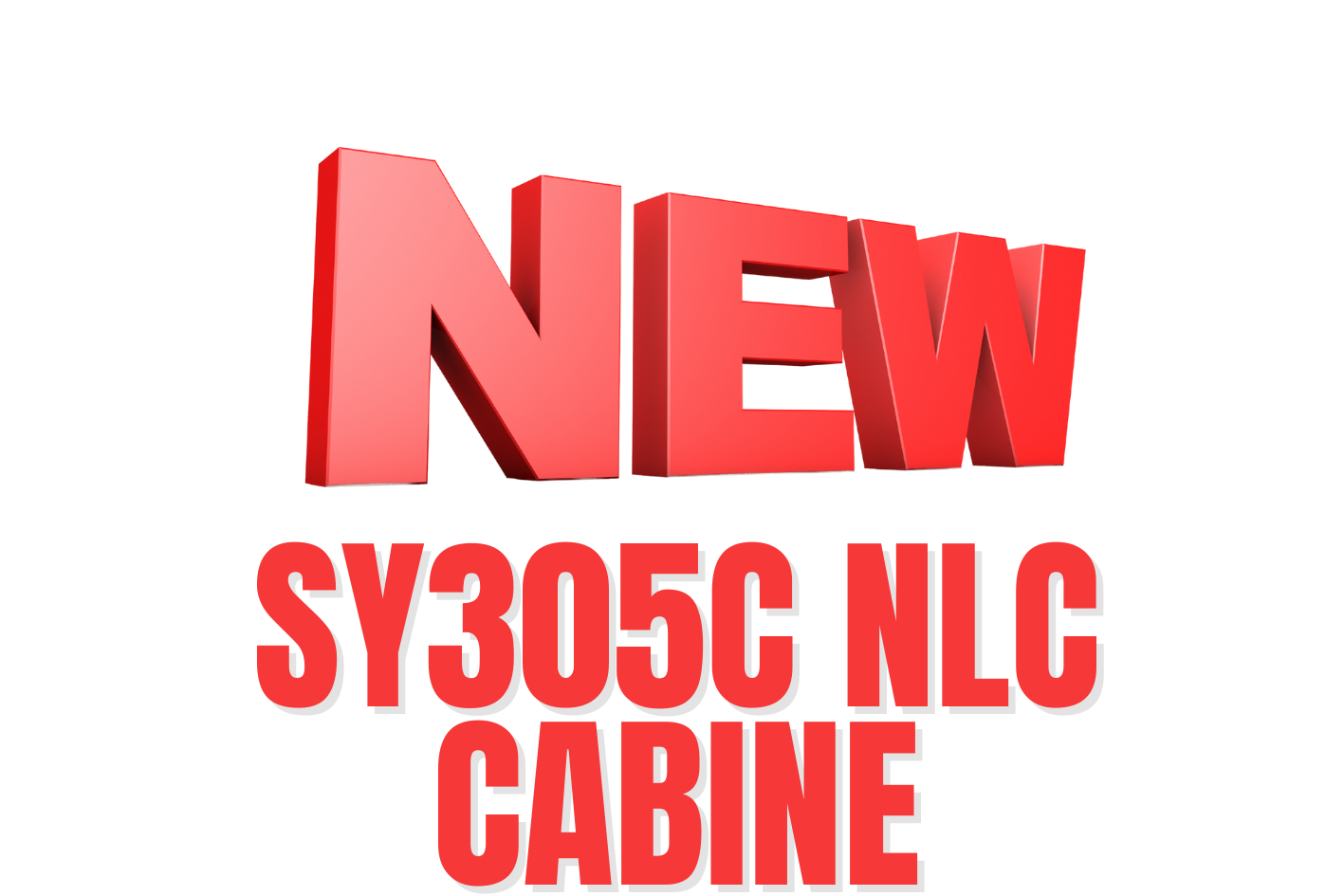 PELLE SANY SY305C NLC CABINE